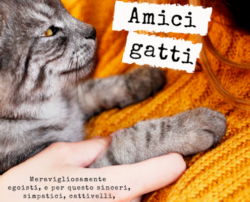 Amici gatti