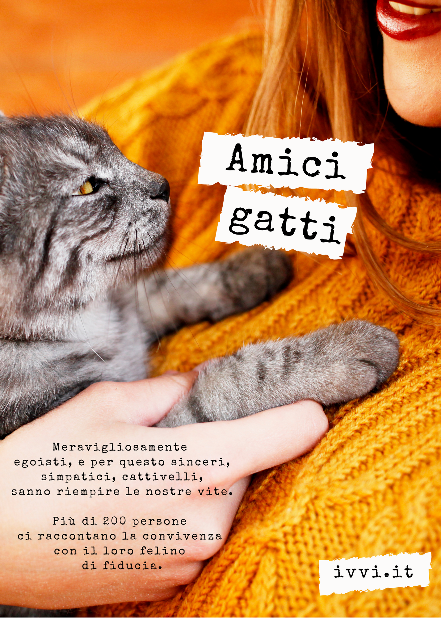 Amici gatti