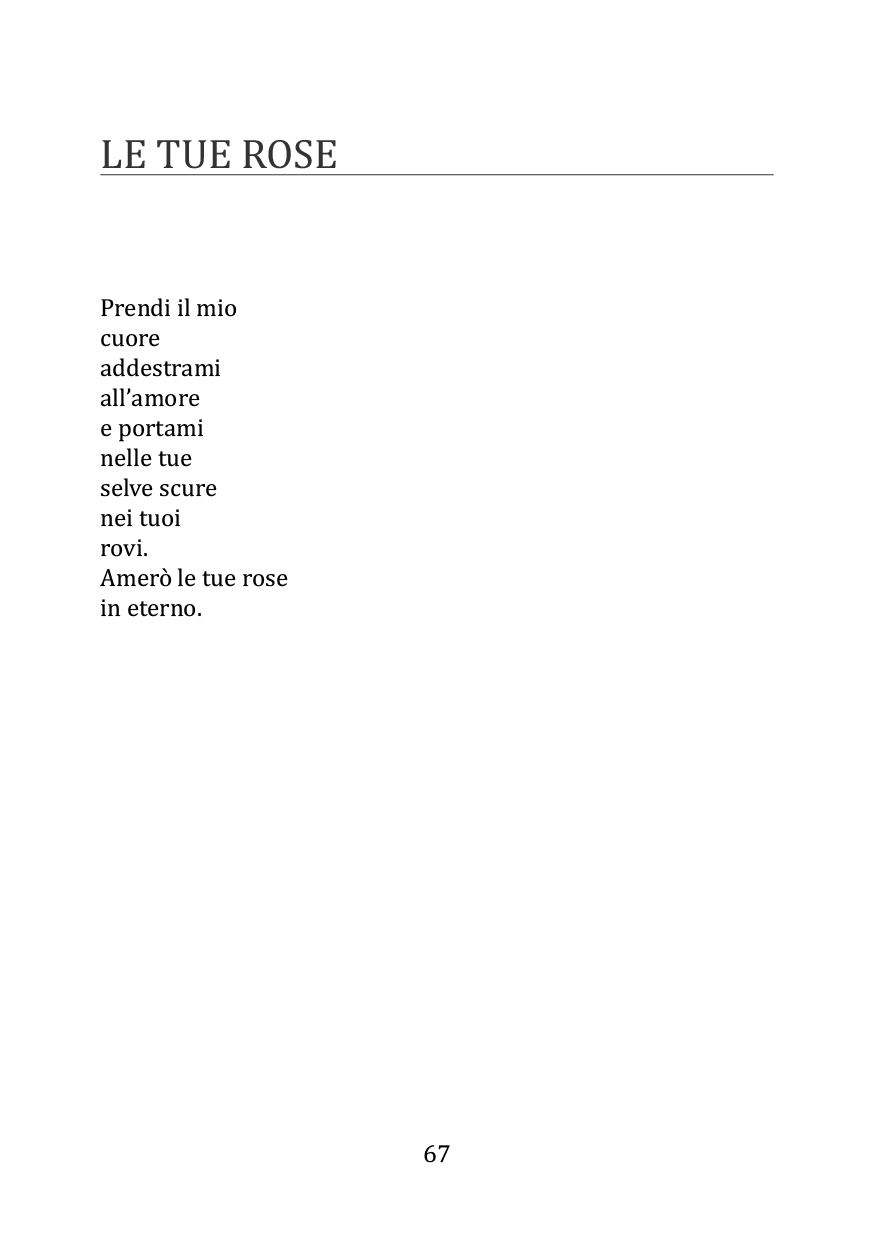 Istanti 2 - immagine 4