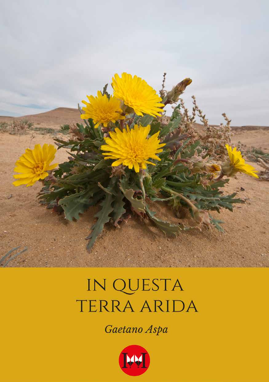 In-questa-terra-arida-Aspa-Gaetano