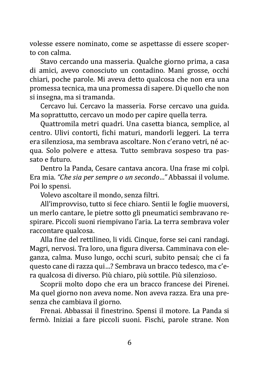 Il nostro viaggio - immagine 3